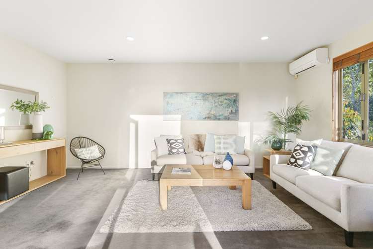 34a Meadowbank Road Meadowbank_6