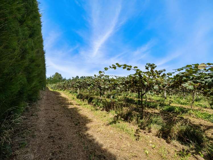 449 Crawford Road Te Puna_15