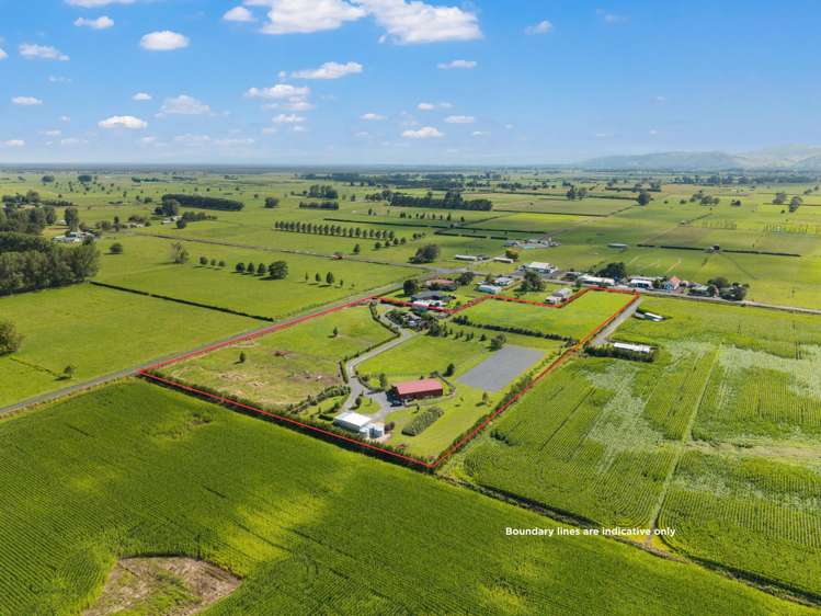 338 No 9 Road East Springdale_24