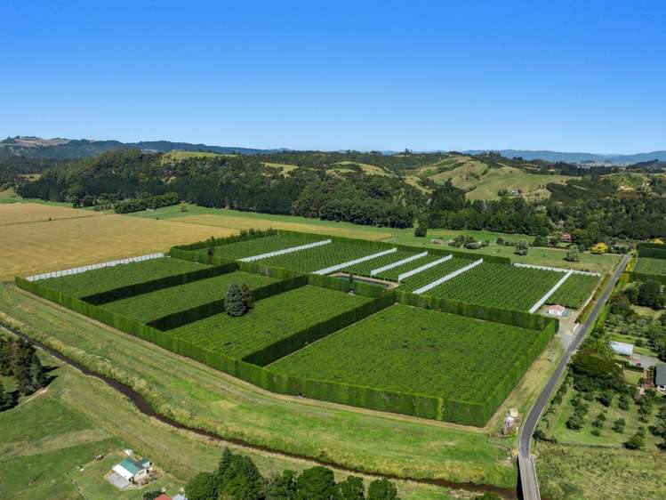 19 and 39 Butler Road Te Teko_22