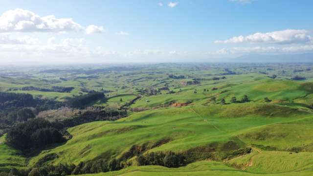 613 Waterworks Road Morrinsville_4