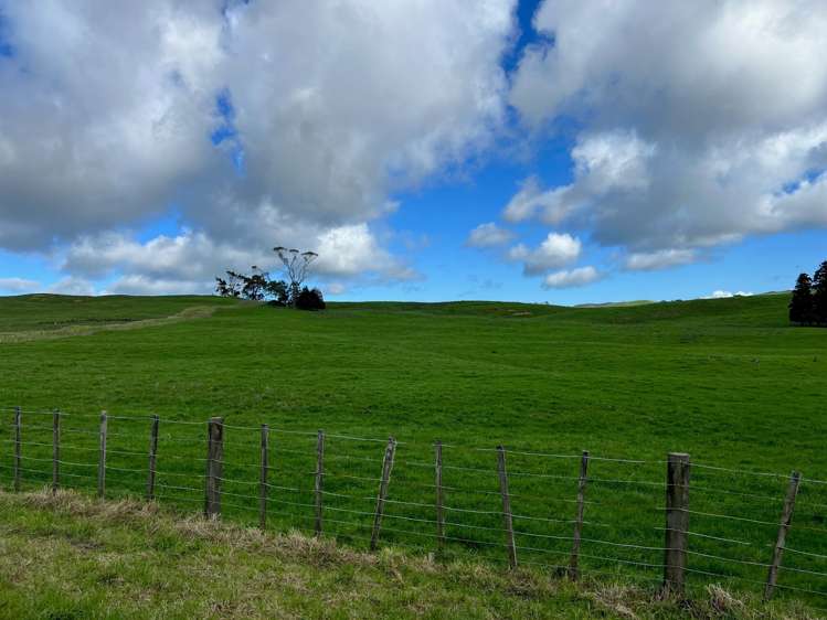 401 Waikaretu Valley Road Glen Murray_1