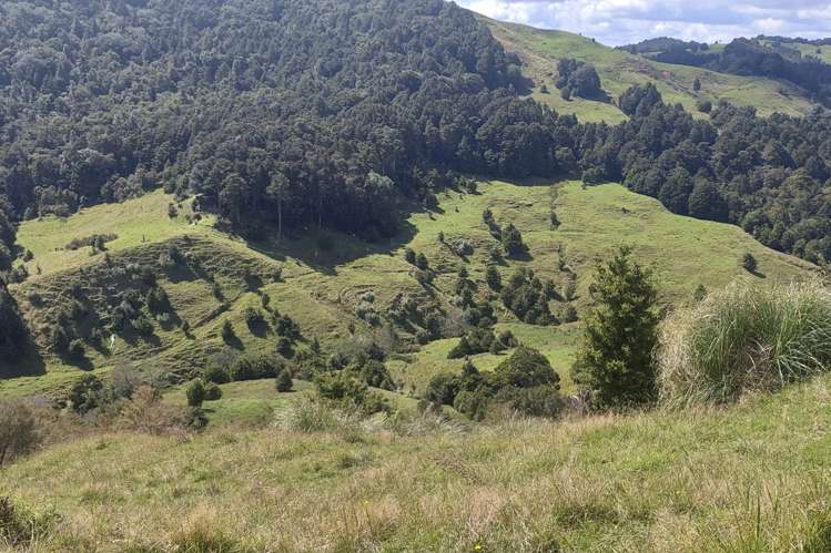 632 Marlow Road Maromaku_5