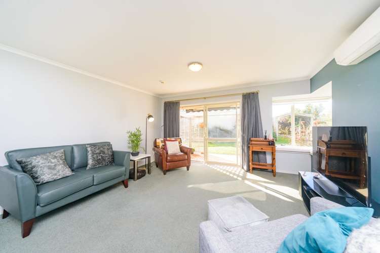 9 Foxtail Fern Kelvin Grove_7