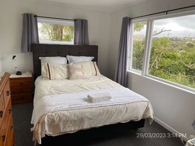 131 Ruskin Road Newlands_3