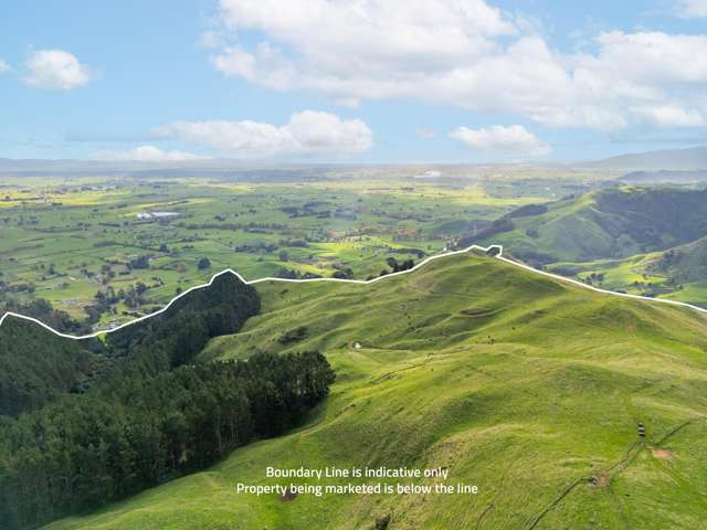 7200B State Highway 26 Paeroa_2