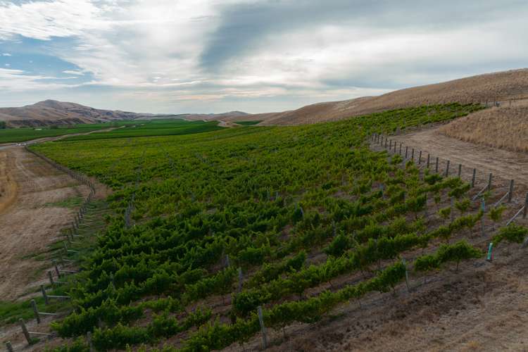 109 Haldons Road Seddon_9