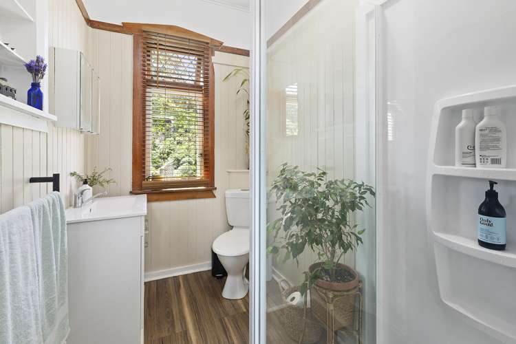 7 Thule Street Aro Valley_11