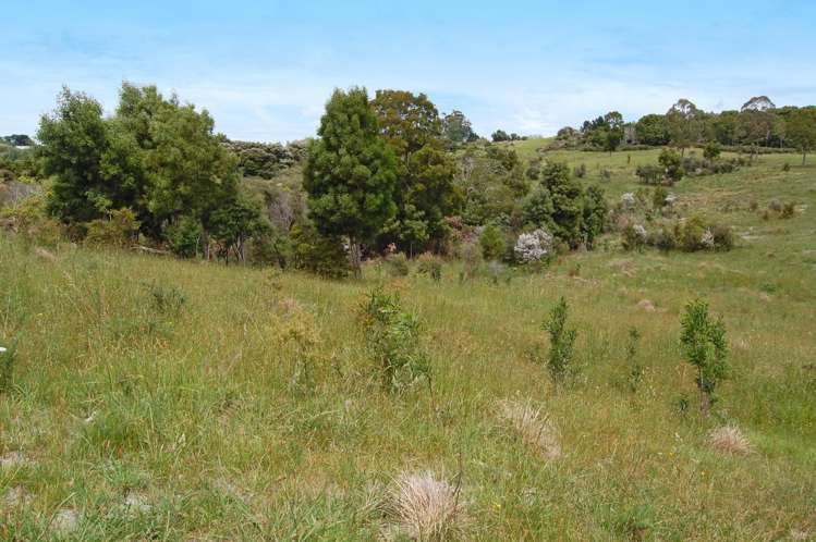 138 Rangiora Road Kaiwaka_17