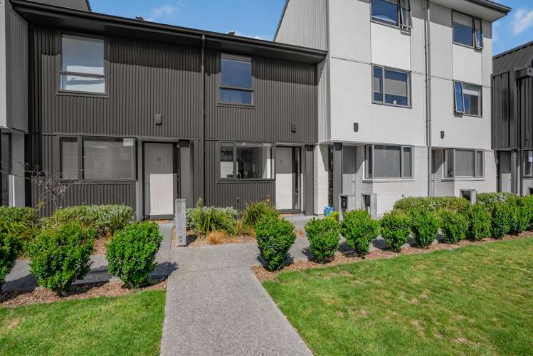 8 Te Ara O Te Amo Hohipene Petone_16