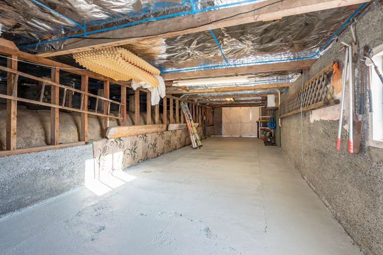 8 Beatty Street Waverley_18