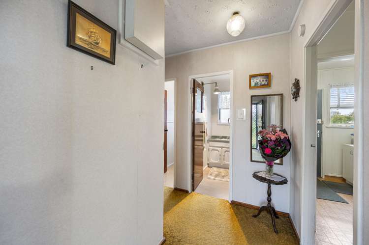 80 Douglas Mclean Avenue Marewa_10