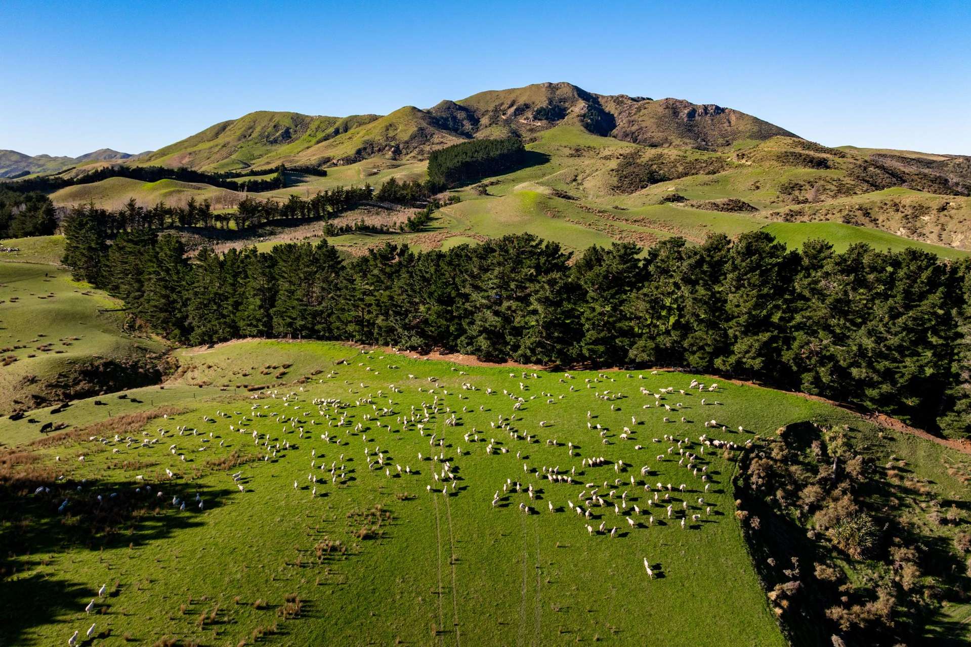 7611 State Highway 1 Ward_0