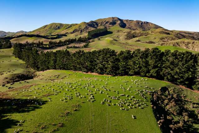 Mirza Downs - productive farm, stunning coast