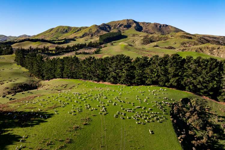 7611 State Highway 1_0