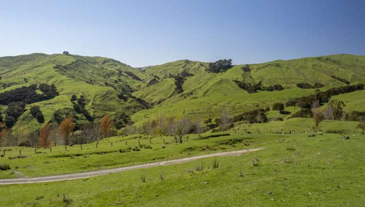 7 Hikawera Road Hinakura_0