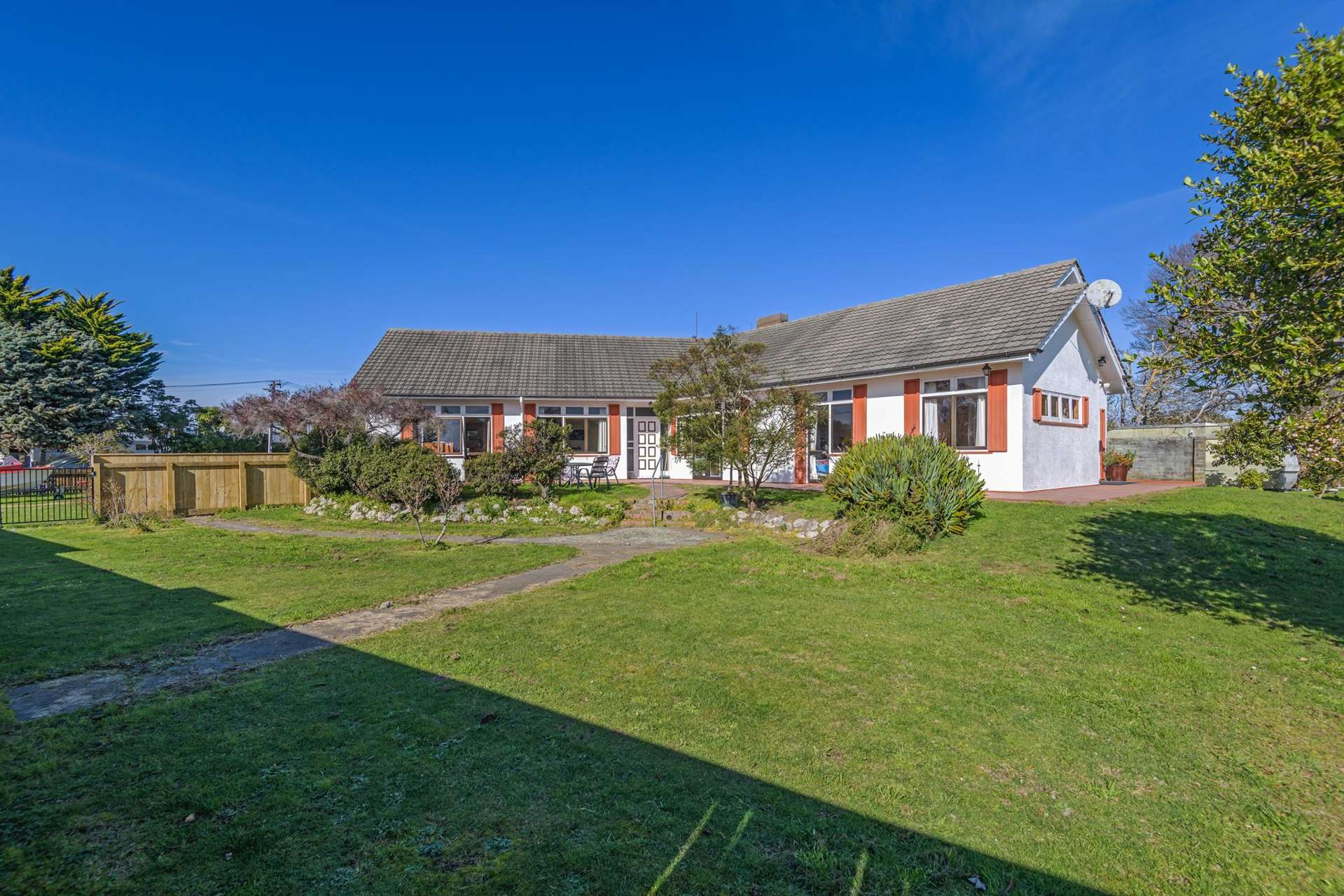 33 Daniell Street Bulls_0