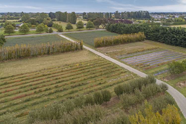 80 Carters Terrace Tinwald_18