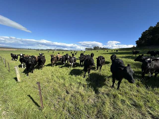 412 Gallagher Road Mossburn_4