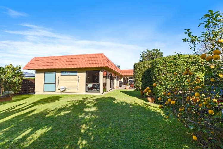 341 Levers Road Matua_32