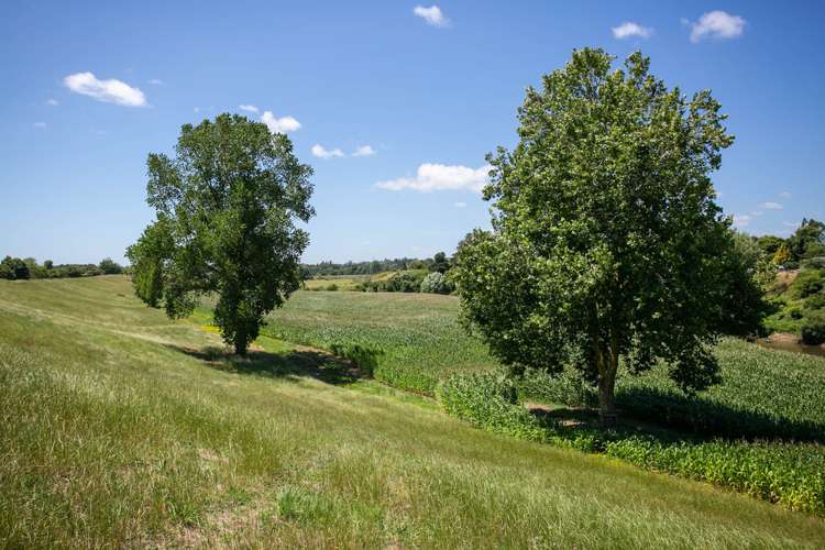 54 O'Shea Road Pirongia_11