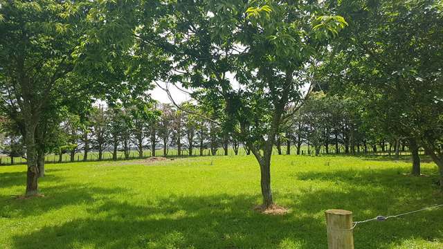 66 Garth Road Levin_1