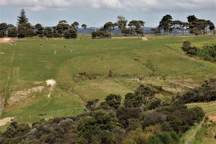 152 Evans Road Papamoa_0