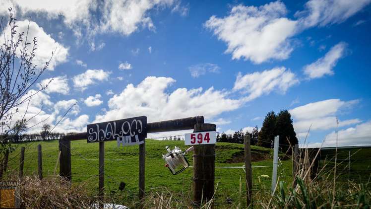 594 Falls Road Waerenga_3