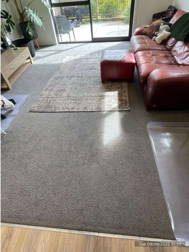 51 Te Ara o Papatahi Wainuiomata_4