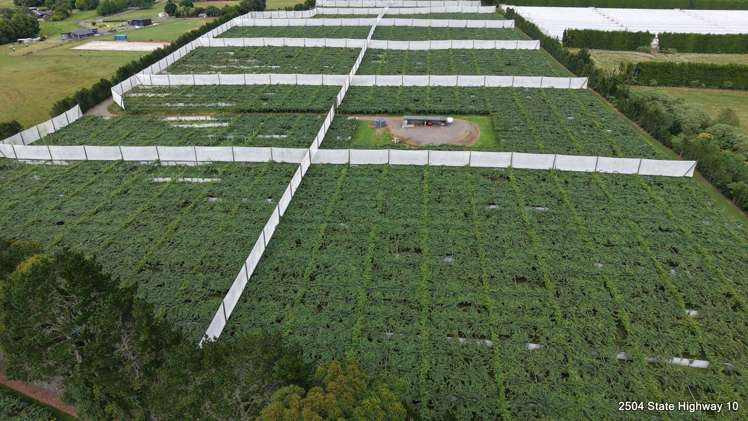 27 Orangewood Road Kerikeri_10