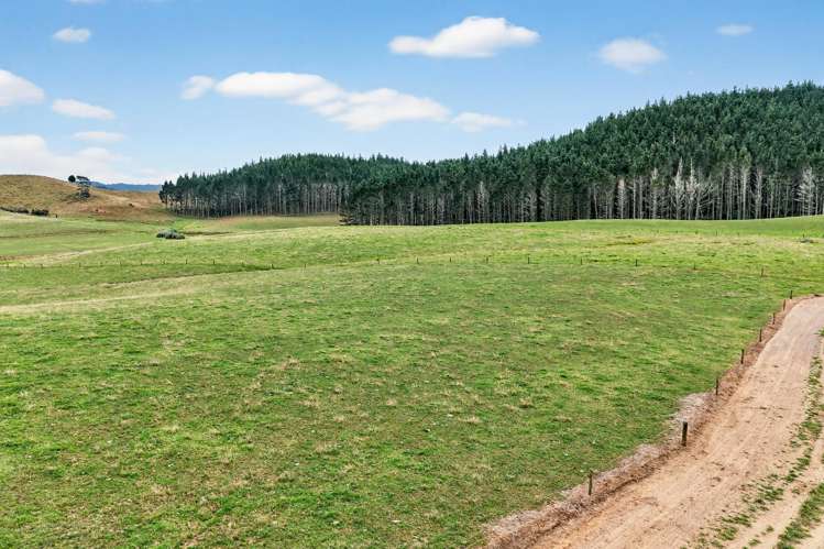 84 Adams Road Whareora_6