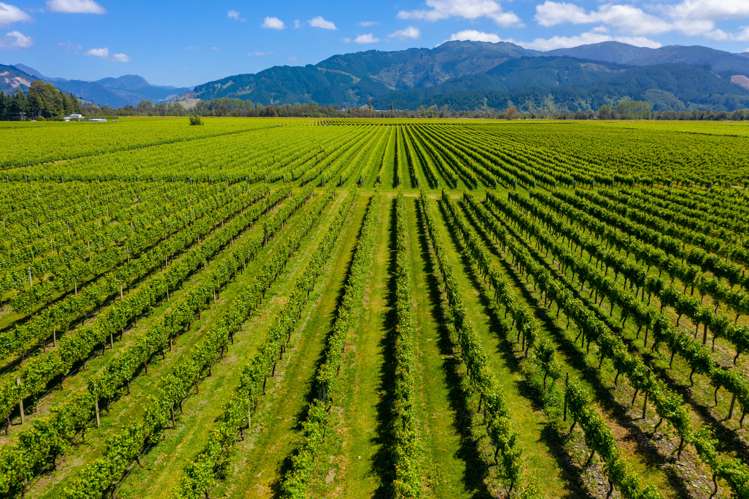 33 Rapaura Road Rapaura_7