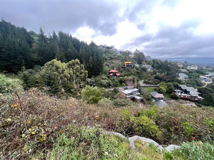 57 Holliss Avenue Cashmere_3