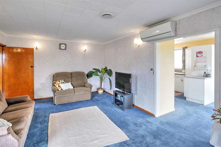 8 Wingate Street Redwood_3