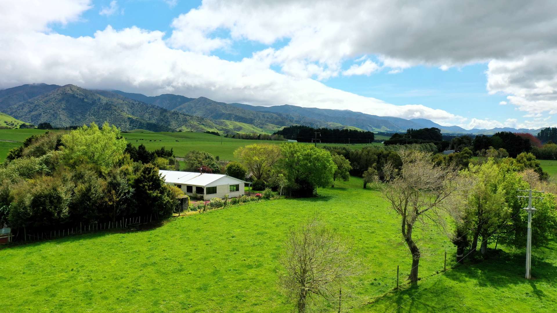 1517 Top Grass Road Rangitikei Surrounds_0