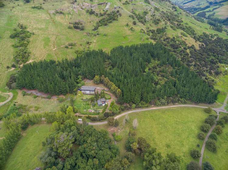 231 Holmes Bay Road Pigeon Bay_23