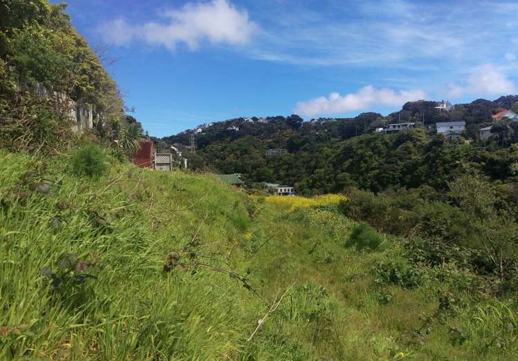 78 Curtis Street Northland_4