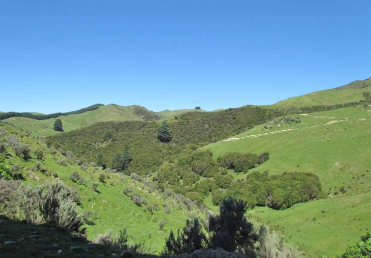 139 Clay Creek Road Ruakokoputuna_16