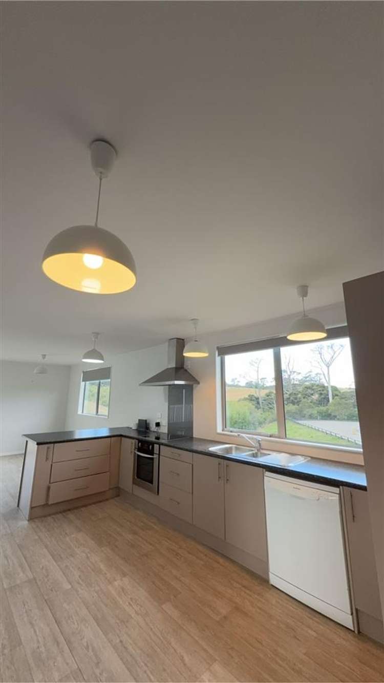 358a Horseshoe Bush Road Dairy Flat_2