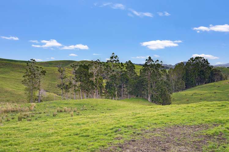 / Lot 12 Gorge Road_5