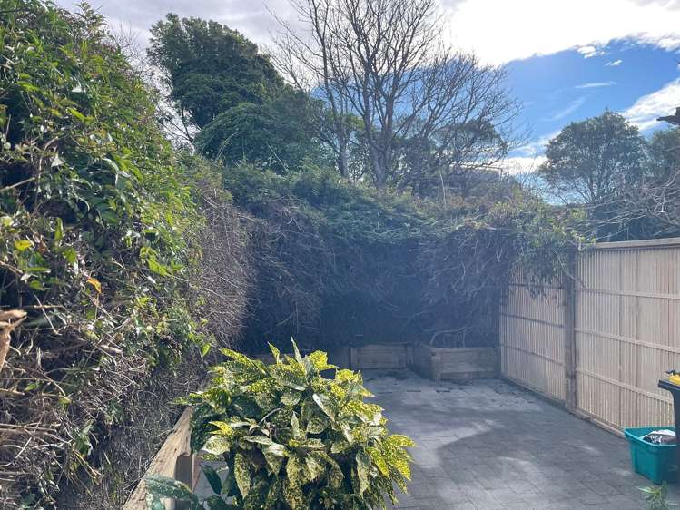 17 Petherick Crescent Johnsonville_20