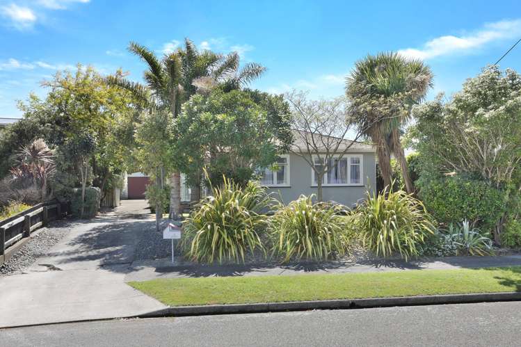 8 Nairn Crescent Awapuni_24