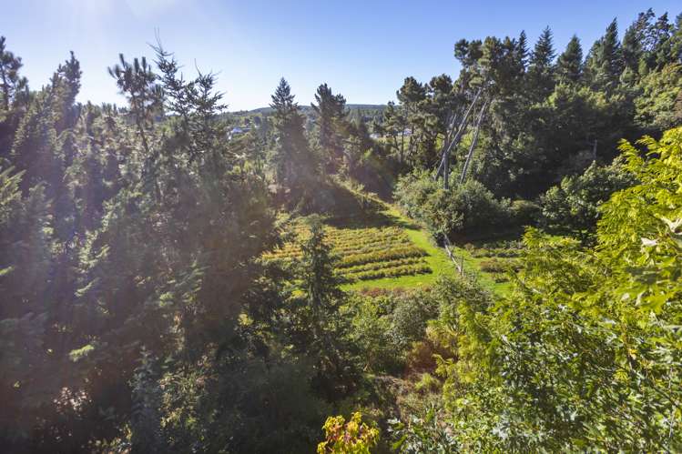 8 Melvin Street Naseby_12