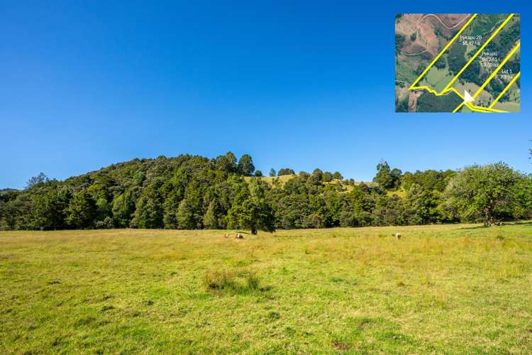 Telfer Road Parua Bay_15