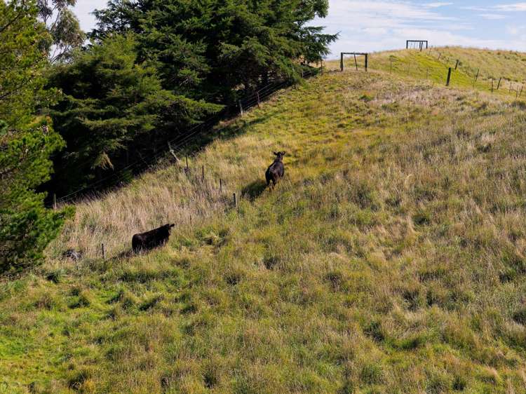 317 Caseys Road Blind River_23