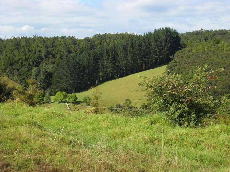 Waiotoi Road Ngunguru_4