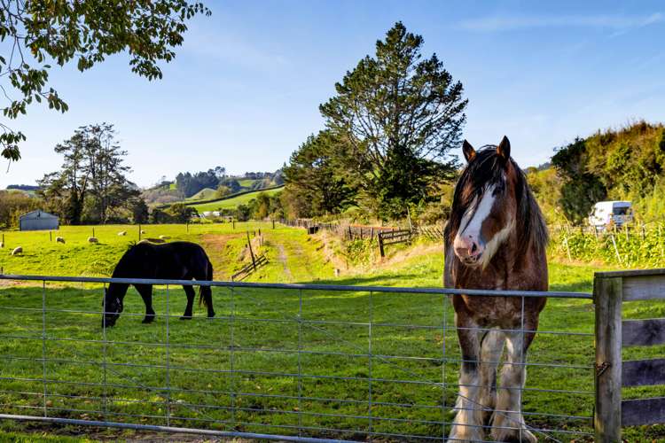 1284 Mountain Road Inglewood_26