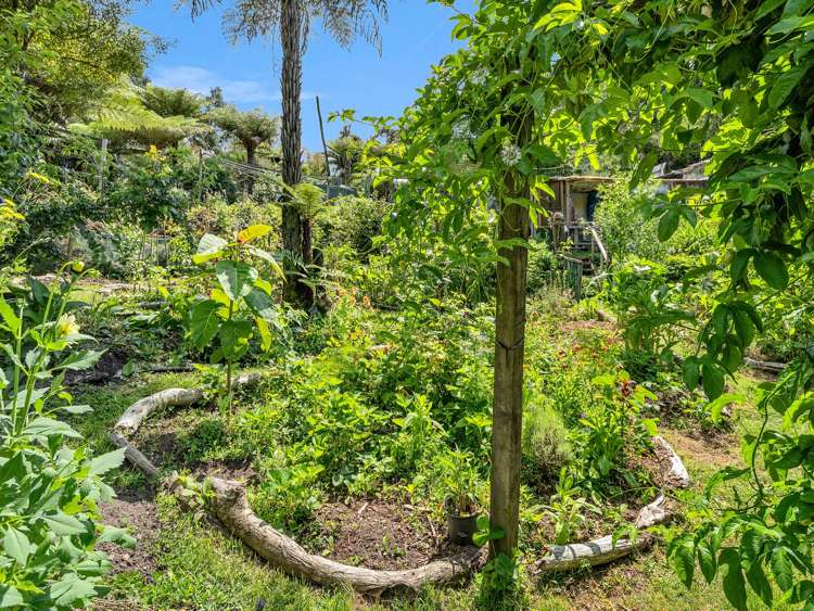 Ohiwa Loop Road Waiotahi_33