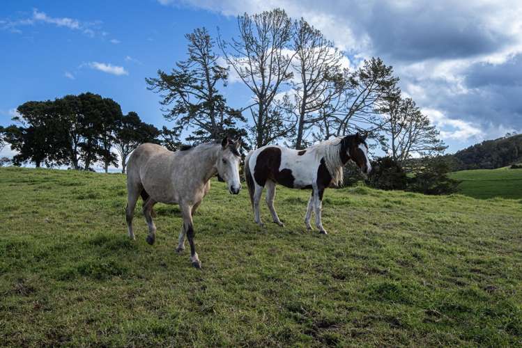 1043 Whananaki North Road Opuawhanga_11