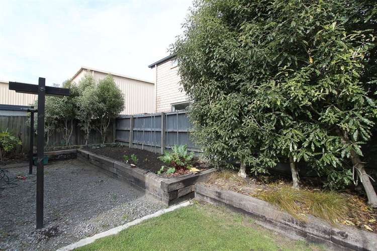 38 Austin Street Sydenham_20